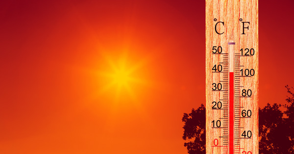 Klimawandel: Hitzeschutz wird zur Pflicht im Bauwesen