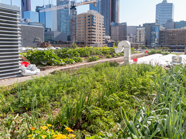 Neue Risiken durch Starkregen - Gebäude wasserfest machen