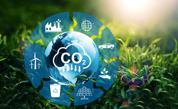 Mit klimapositiven Baustoffen CO2-Emissionen senken