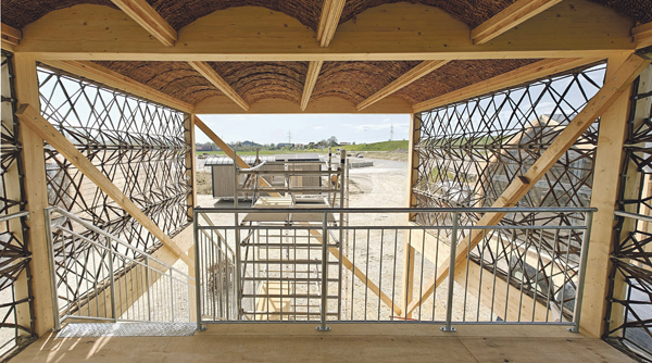 Fachwerk für die Zukunft: Eine nachhaltige Architekturvision