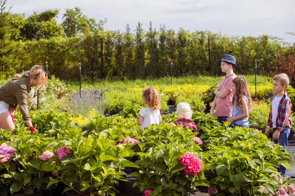 Bundesgartenschauen setzen Impulse für morgen