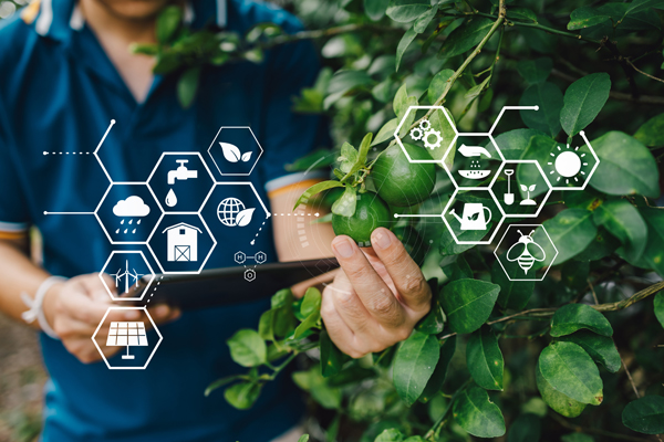 Erleichterungen bei Zulassung und Dokumentation von Pflanzenschutzmitteln