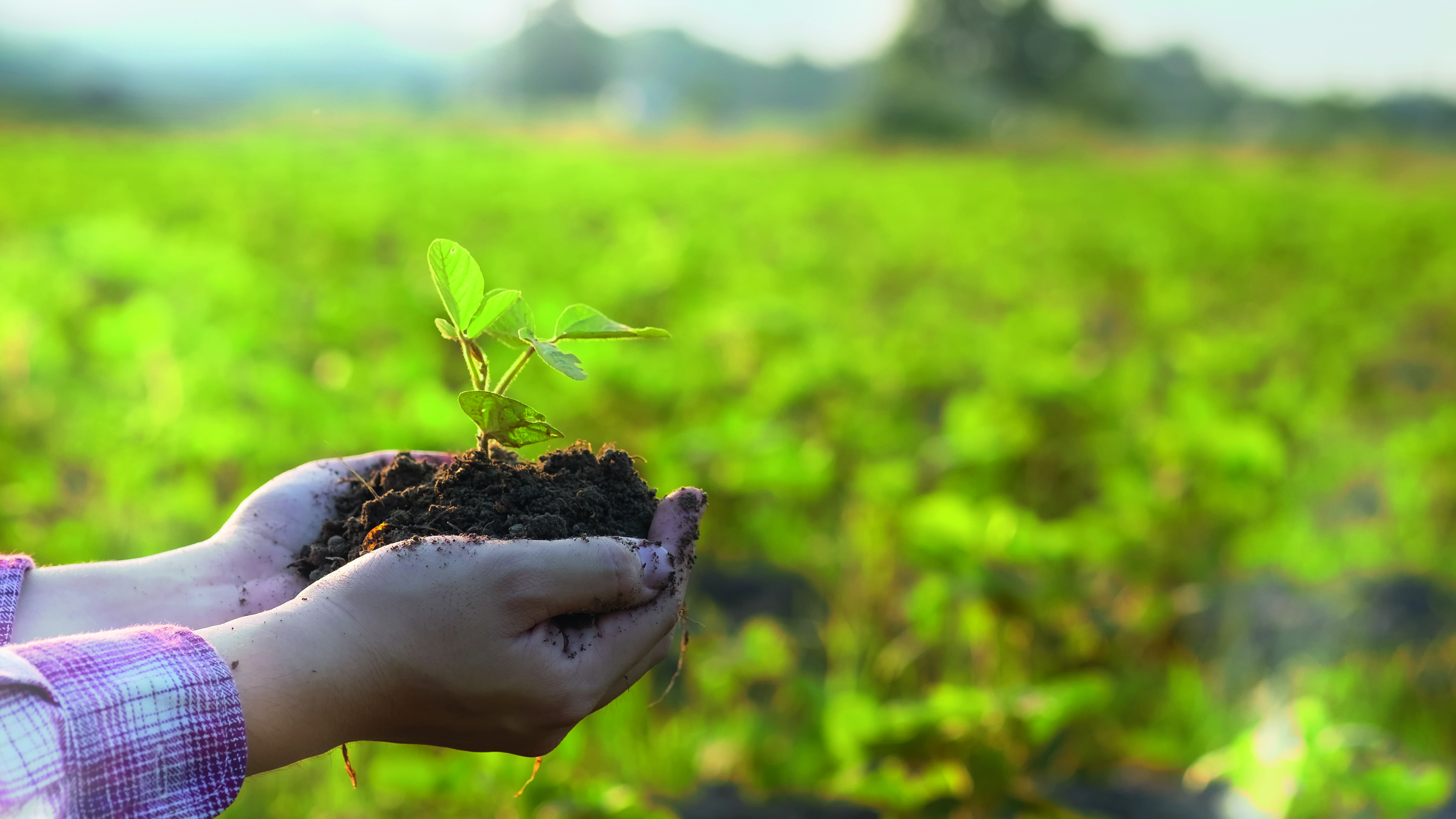 EU-Umweltrat verabschiedet Nature Restoration Law