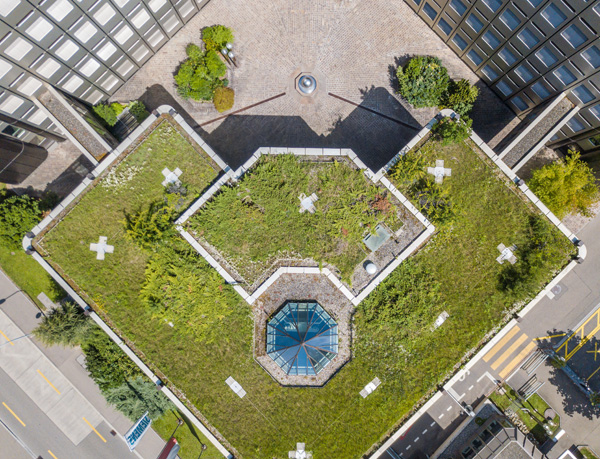 Moorschutz und Dachbegrünung für besseres Stadtklima
