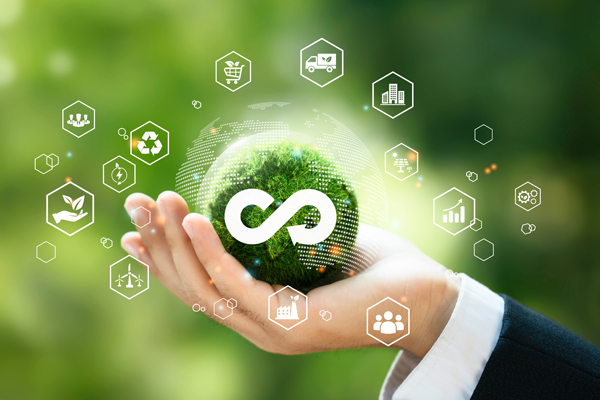 EU-Projekt Circular-C entwickelt biobasierte Baumaterialien