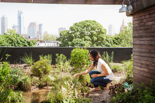 GaLaBau-Fachtagung rückt Klimaanpassung in den Fokus