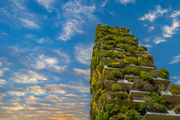 Energieberatung und Gebäudegrün kooperieren