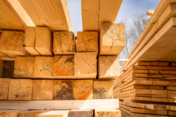 Woodscraper: Warum nachhaltige Hochhäuser die Zukunft sind