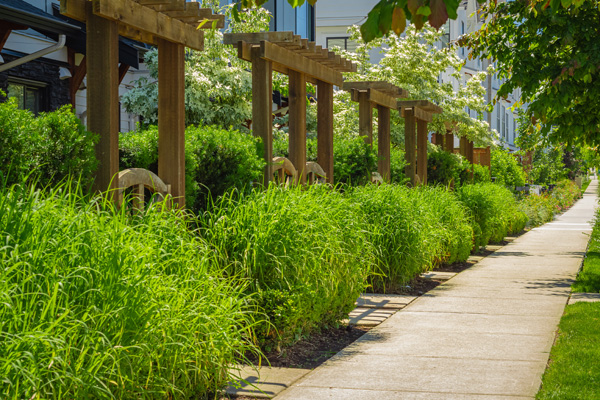 Gartentrends 2026: Klimafeste Freiräume als neuer Standard