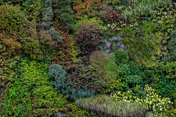 Bauhaus-Universität Weimar für vertikale Klimakläranlage ausgezeichnet