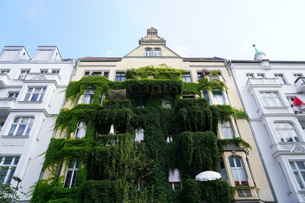 BauGB-Novelle: Stadtgrün und Klimaanpassung im Fokus