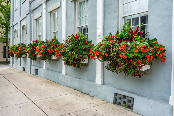 Flower and Shower erweitert Angebot für mobile Stadtbegrünung