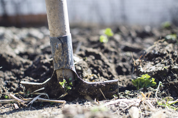 Präsident des ZVG, betont die Zukunftsfähigkeit des Gartenbaus