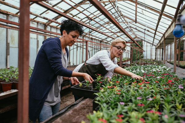Politische Weichen für den Gartenbau der Zukunft