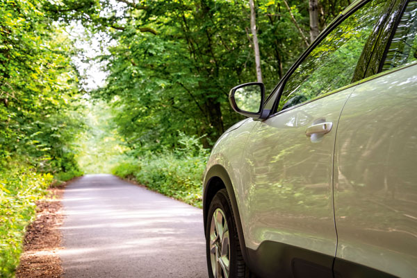 FDP fordert „Politik für das Auto”