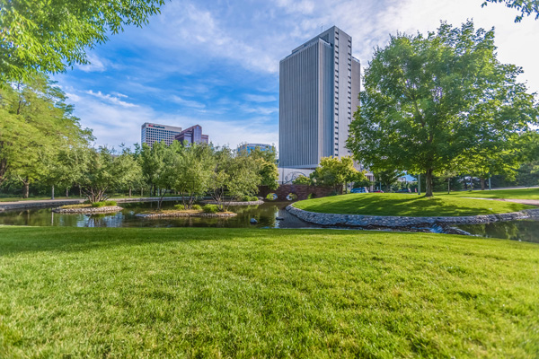 DWA fordert Schwammstadt als Standard