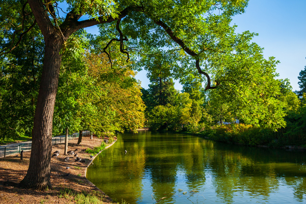 Stadtgrün-Monitoring mit Bodenverbesserung