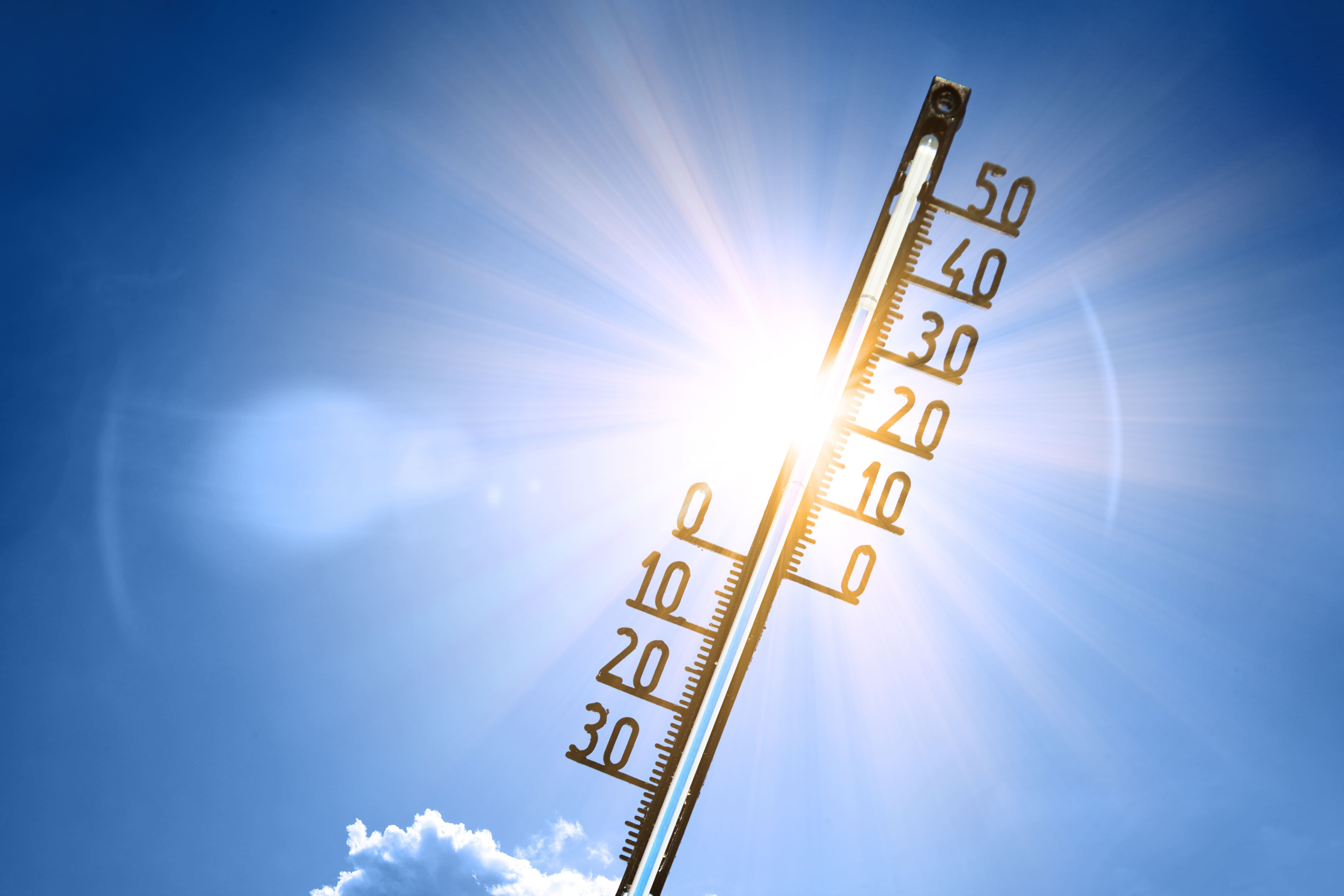 Umweltungerechtigkeit: Hitzestress in europäischen Großstädten