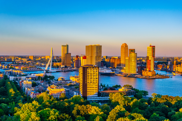 Rotterdam ROCKS verbindet Bauwerksbegrünung und Schwammstadt