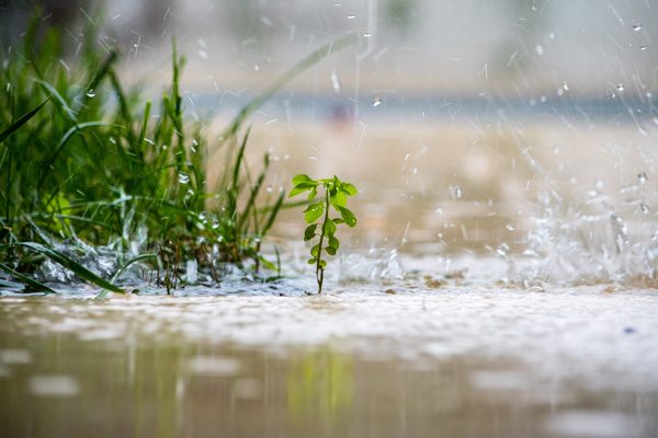 Urbaner Gebäudebestand als Ressource für Wasser und Wärme