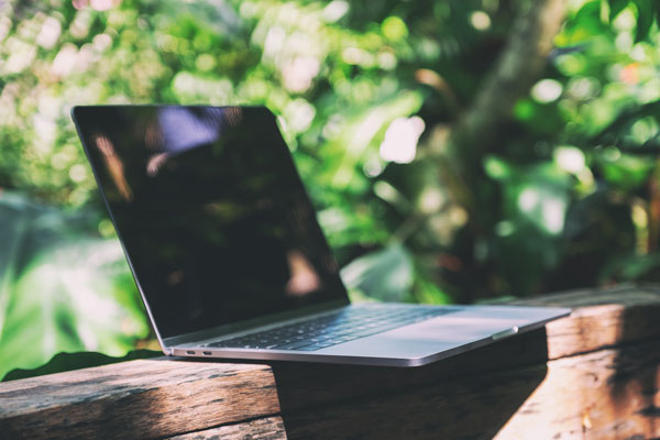 Digital, smart und nachhaltig: Die moderne Ausbildung im Gartenbau