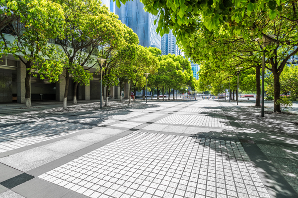 BdB fordert Priorisierung der grünen Infrastruktur