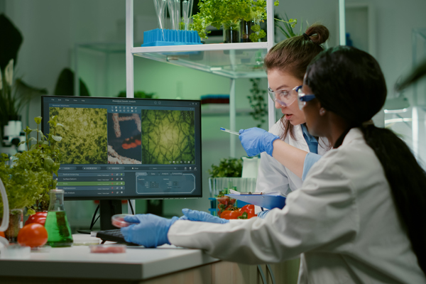 EU-Projekt entwickelt biobasierte Materialien für den Kreislaufbau