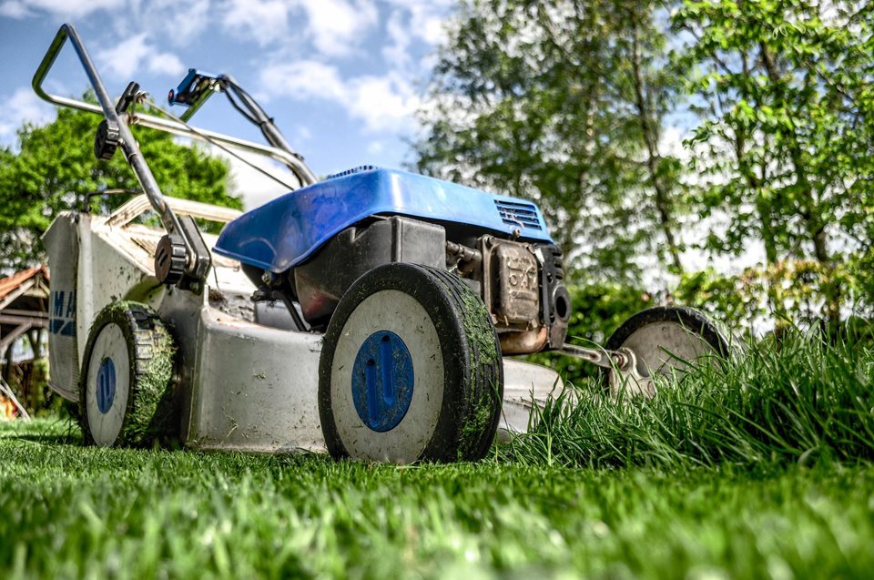 BMEL veranstaltet dritten Zukunftskongress Gartenbau