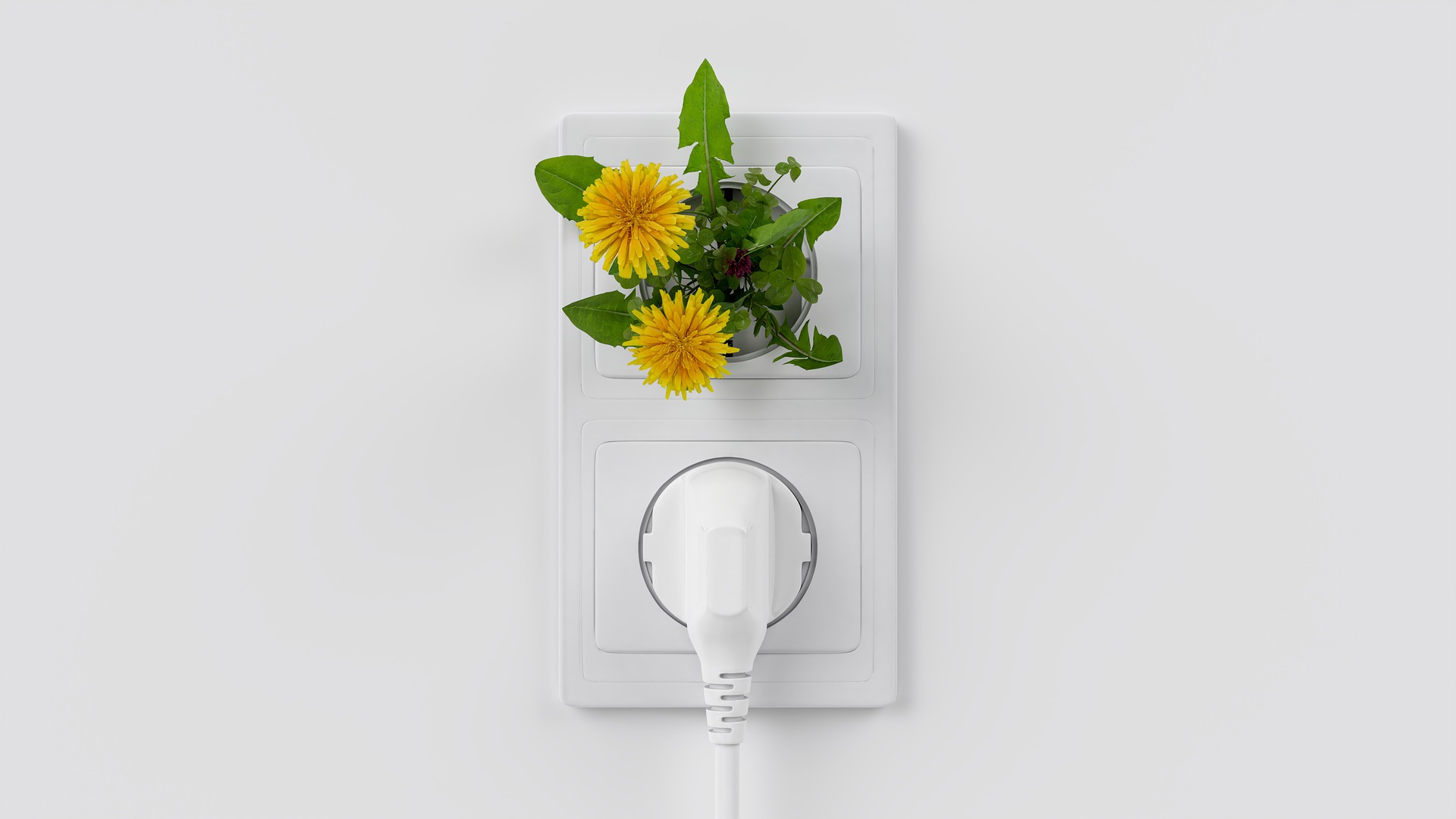 EEG Neuerung entschleunigt Ausbau grüner Energie