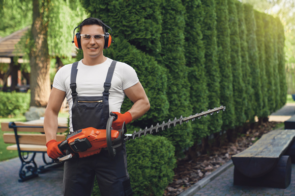 Azubi-Zahlen im GaLaBau steigen um 2,7 Prozent