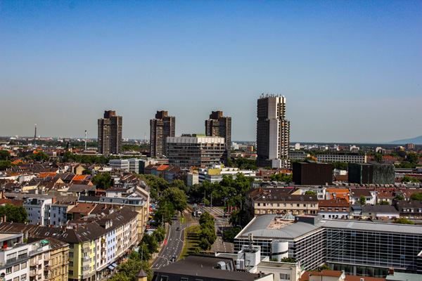 Längste integrale Holzbrücke der Welt in Mannheim