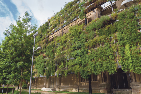 Forschung für klimaresiliente Städte