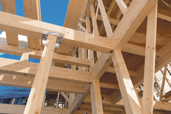 CO2-Bilanz verbessern: Mehr Holz in Bauprojekten