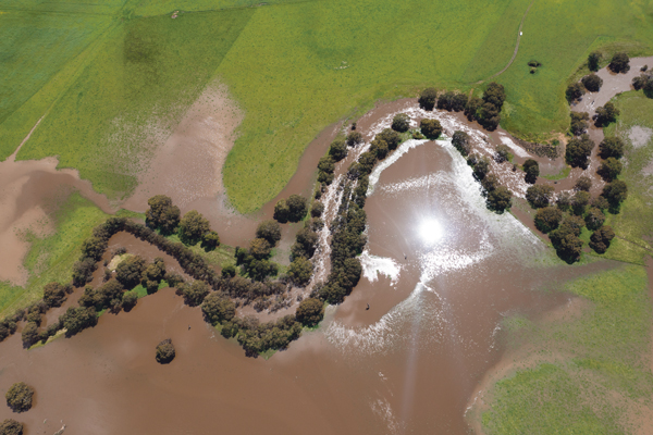 Hochwasser beeinträchtigt Landwirtschaft in Niedersachsen