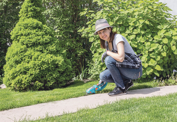 Zahl der Neuabschlüsse im Gartenbau rückläufig