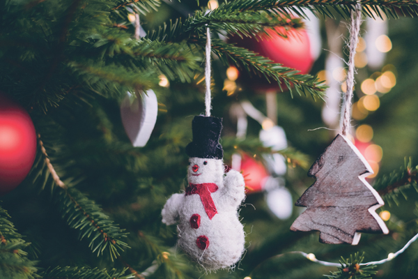 Regionale Weihnachtsbäume: Unterstützung für die Umwelt und die Wirtschaft