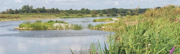 Naturnahe Ufergestaltung an Bundeswasserstraßen