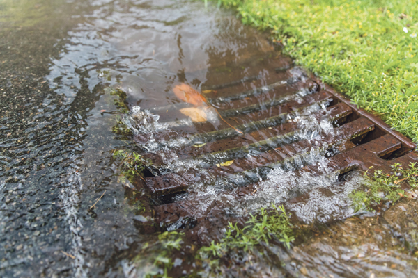 Innovationspreis für revolutionären wasserspeichernden Pflasterstein