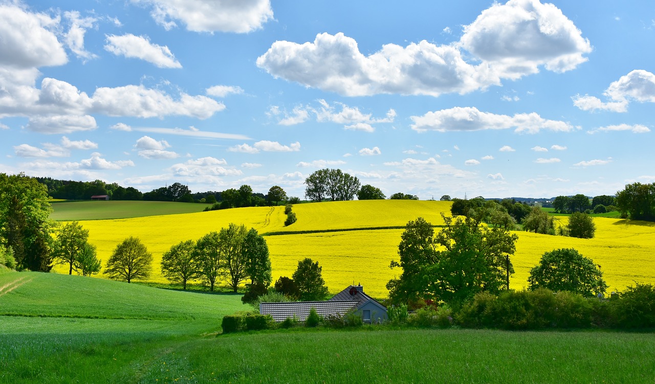 Förderung für zukunftsfähige Landwirtschaftsprojekte