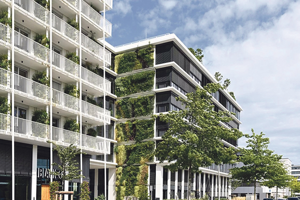 Immergrüne Architektur für aufblühendes Areal