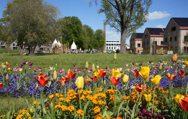 Landesgartenschau Wangen 2024 schließt mit großem Erfolg ab