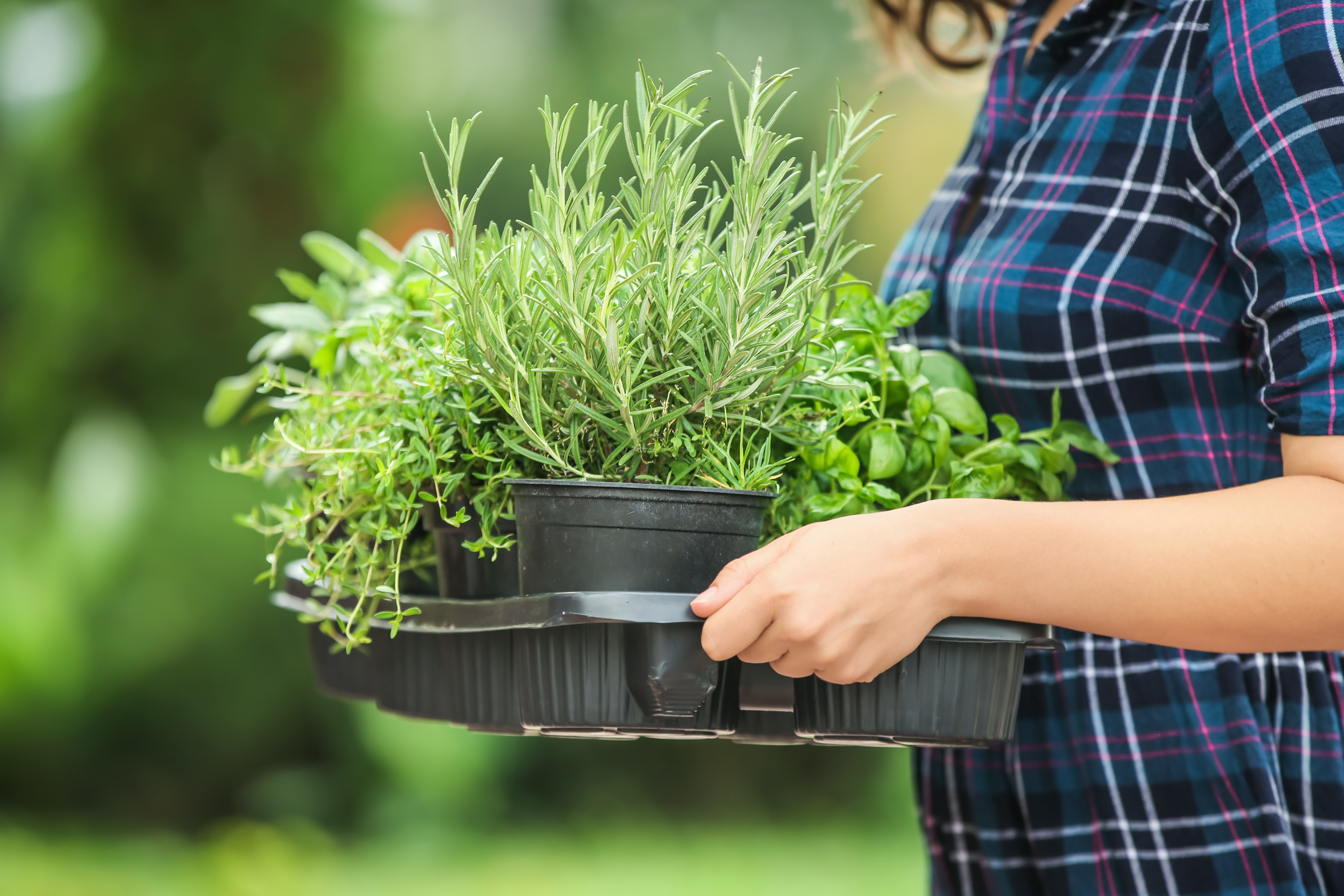 Neue EU-Verpackungsverordnung bedroht Gartenbau mit Zusatzkosten